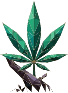 Maribor Cannabis Club