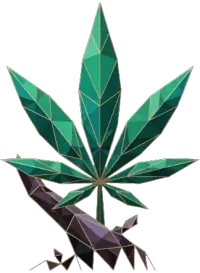 Maribor Cannabis Club